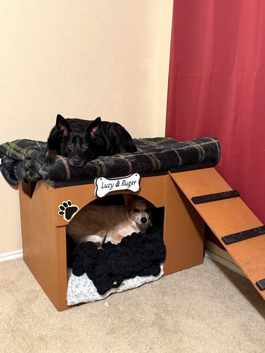 Two-level custom dog house with ramp and engraved nameplate — Lucy & Ruger